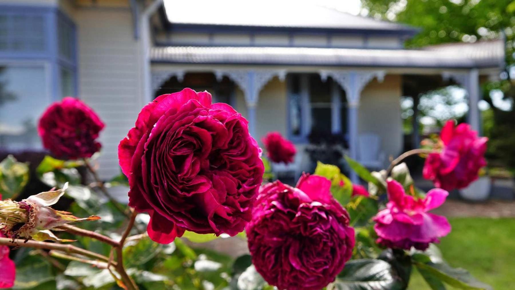 Glencoe Country Bed And Breakfast Barrington Exterior foto